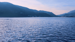 delubac wealth management
